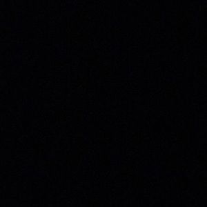 Meet your Posher, Carter